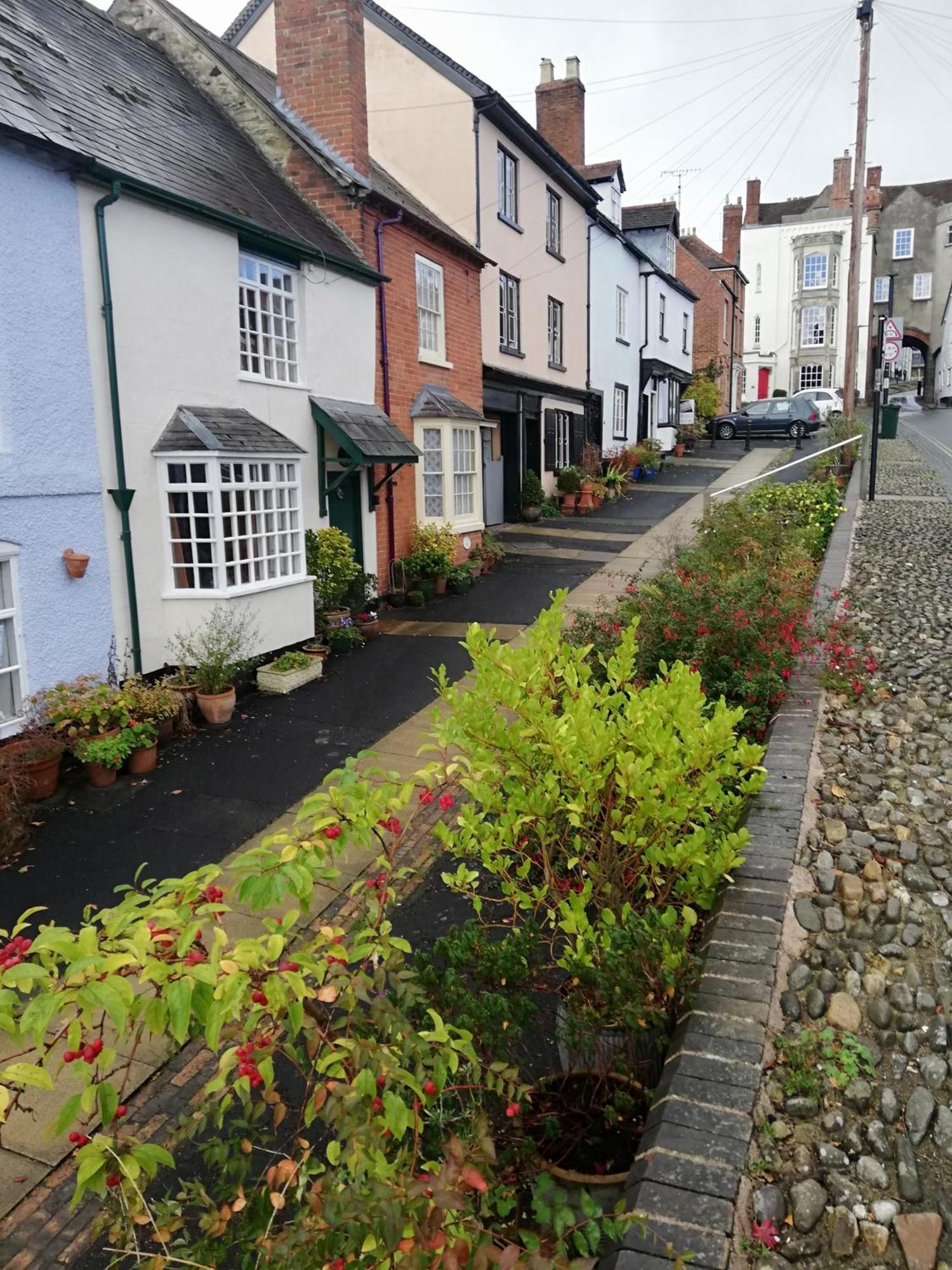 Toad Hall Ludlow Exterior photo